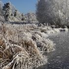 Frostiger Morgen