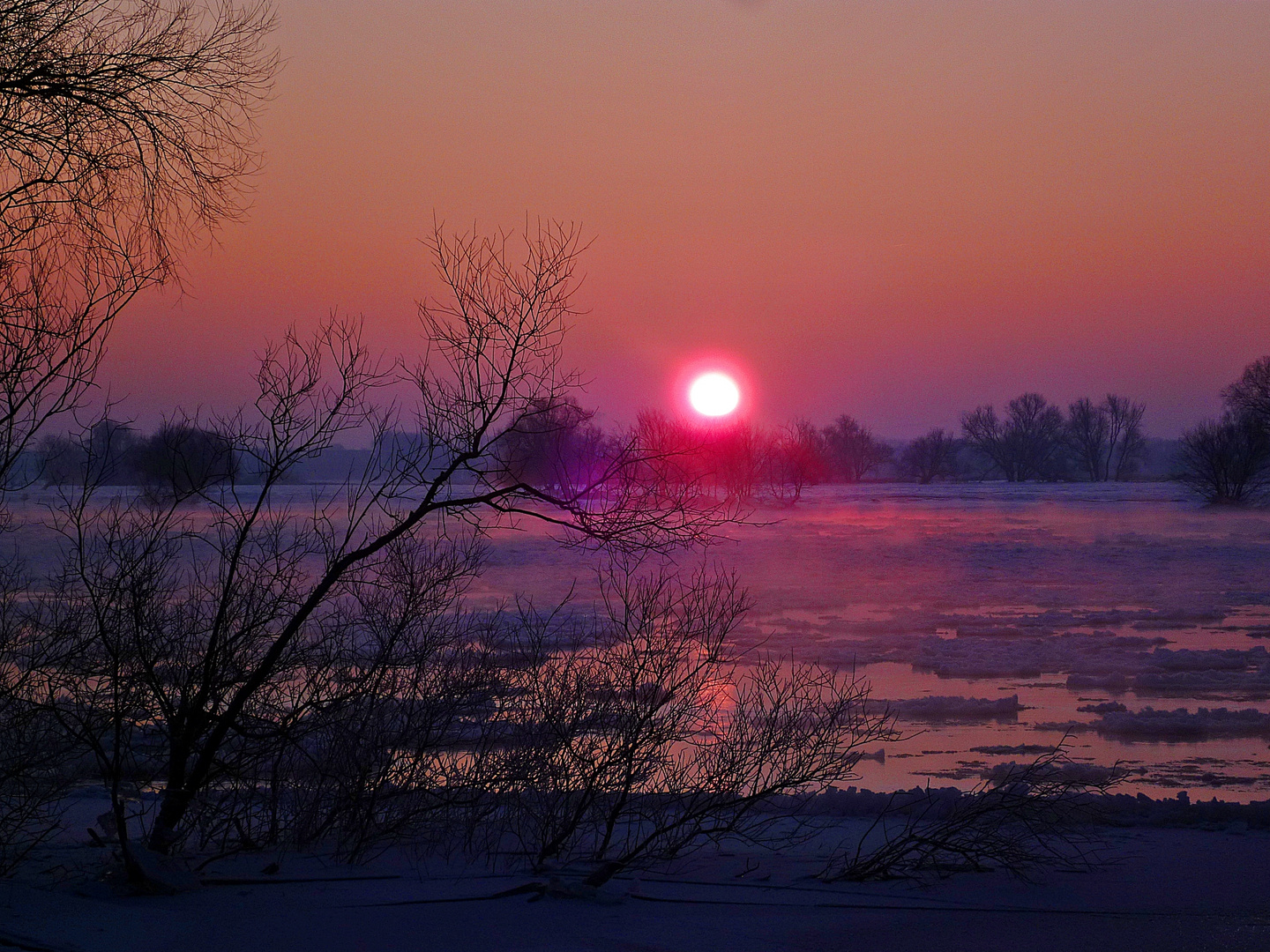 .....frostiger Morgen