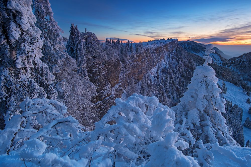 Frostiger Morgen am Grenchenberg