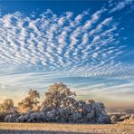 frostiger morgen am heidenkopf