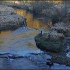 Frostiger Morgen am Perlenbach