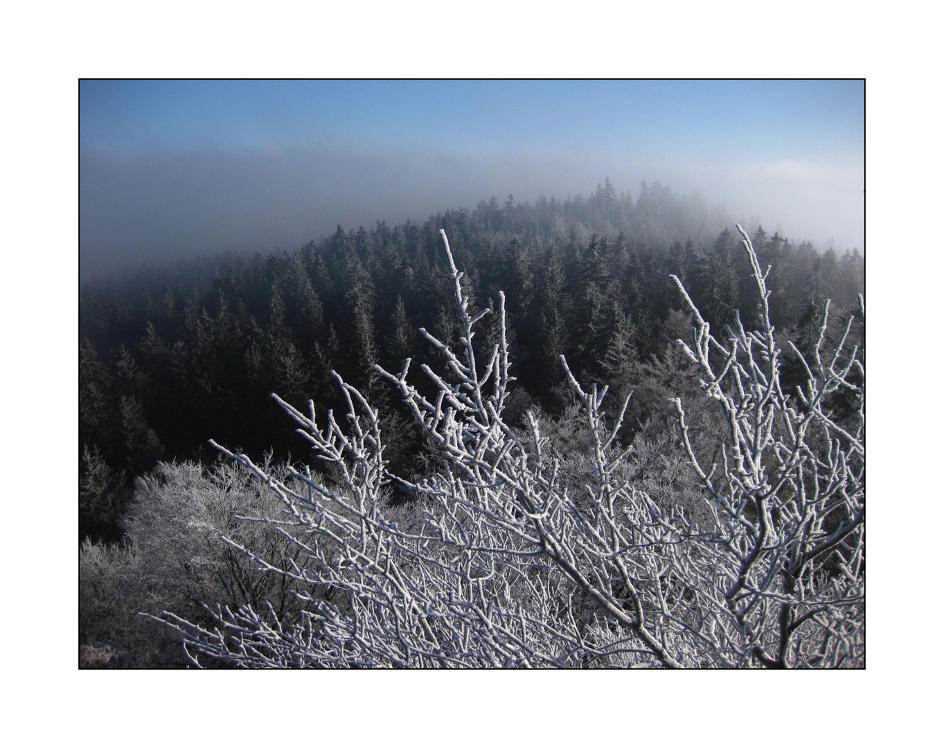 Frostiger Morgen am Waldstein