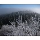 Frostiger Morgen am Waldstein