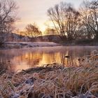 Frostiger Morgen an der Tauber.