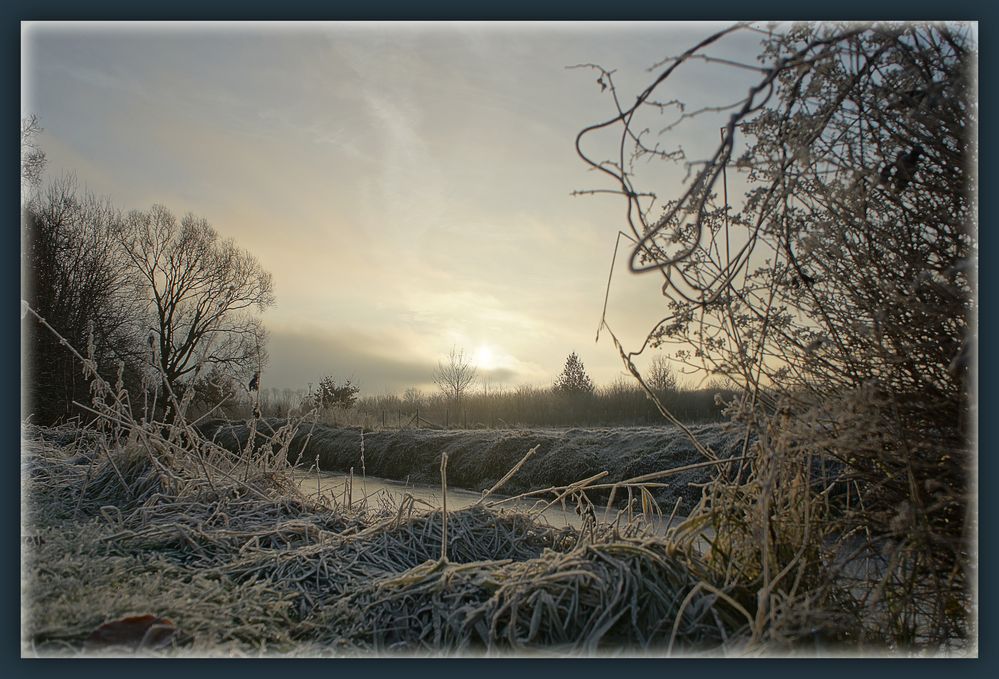 Frostiger Morgen ....