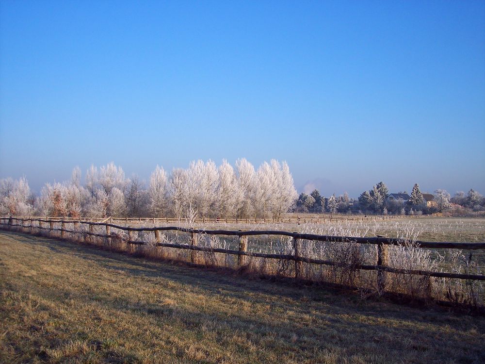 frostiger Morgen