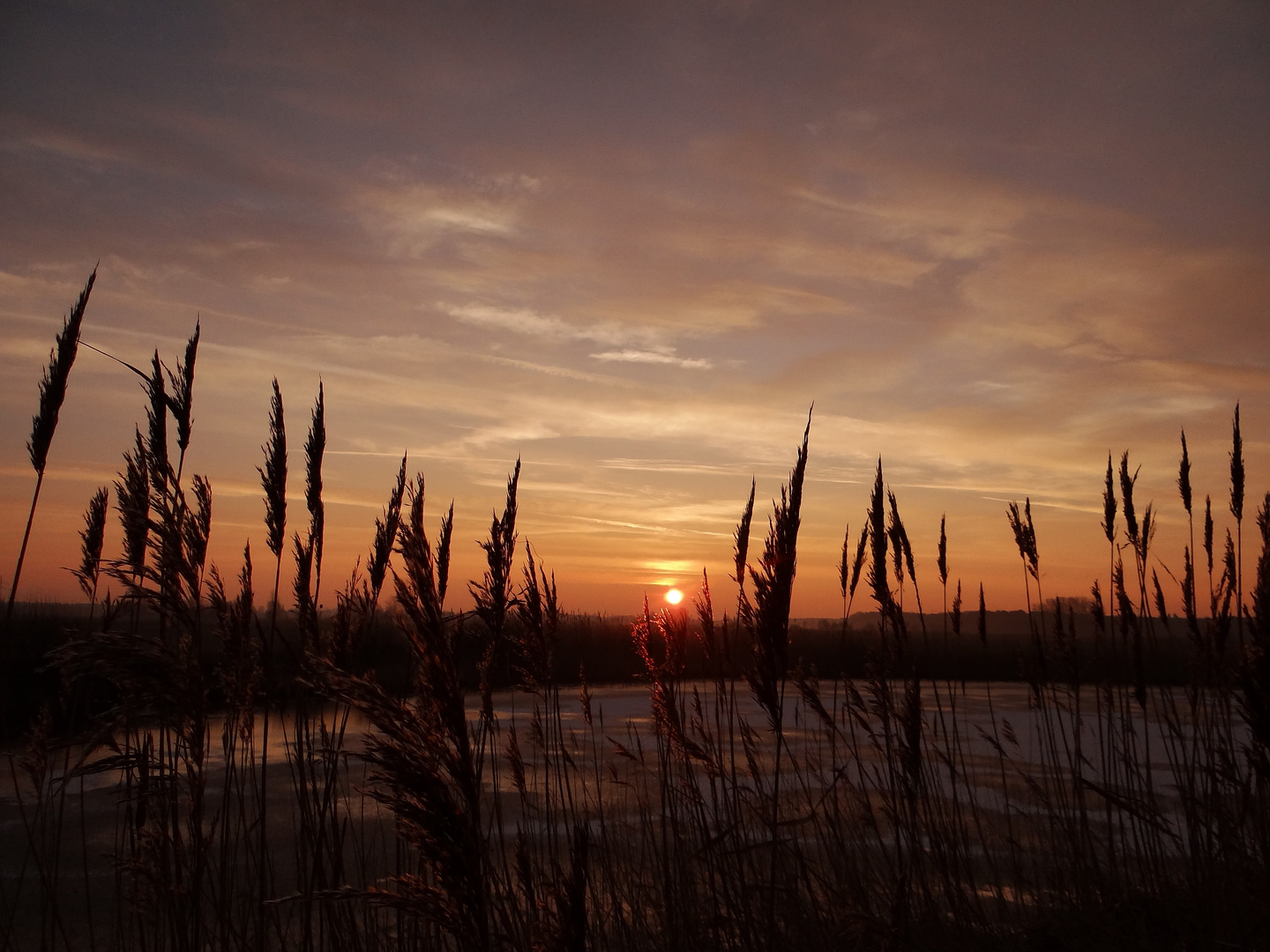 Frostiger Morgen