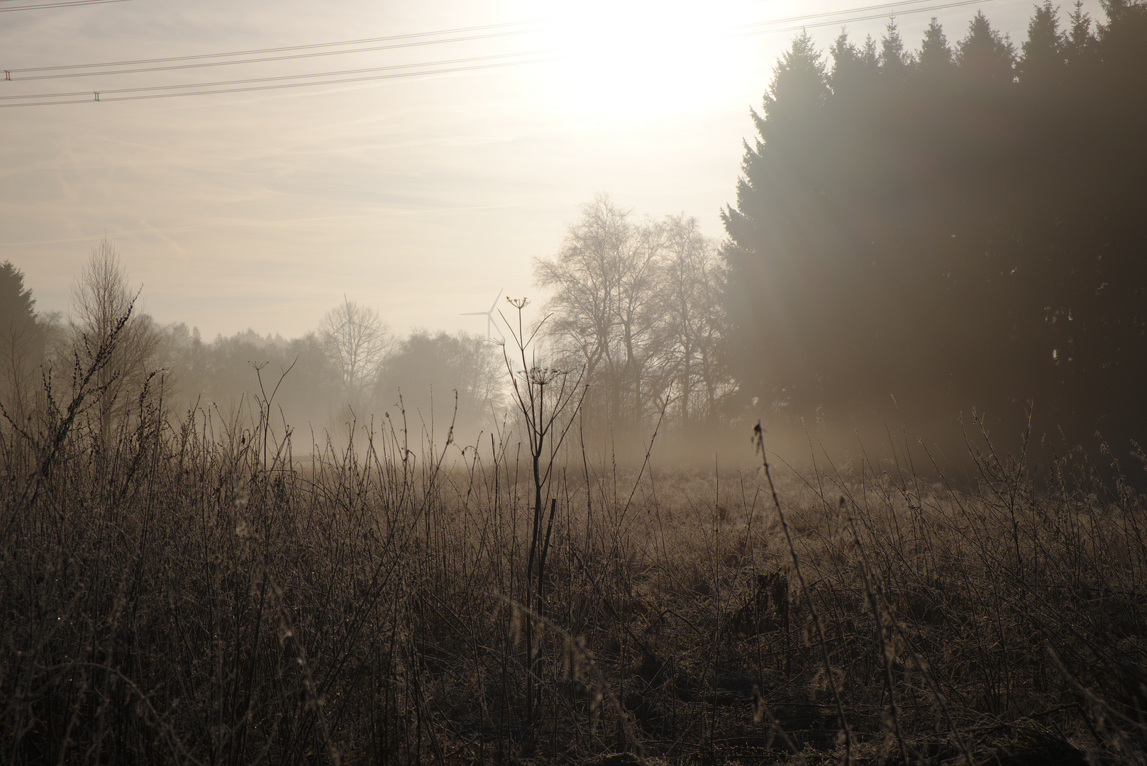 Frostiger Morgen