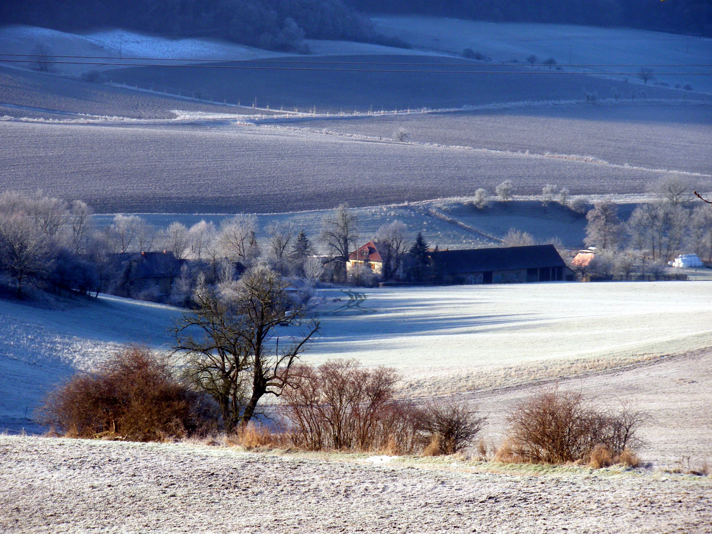 Frostiger Morgen