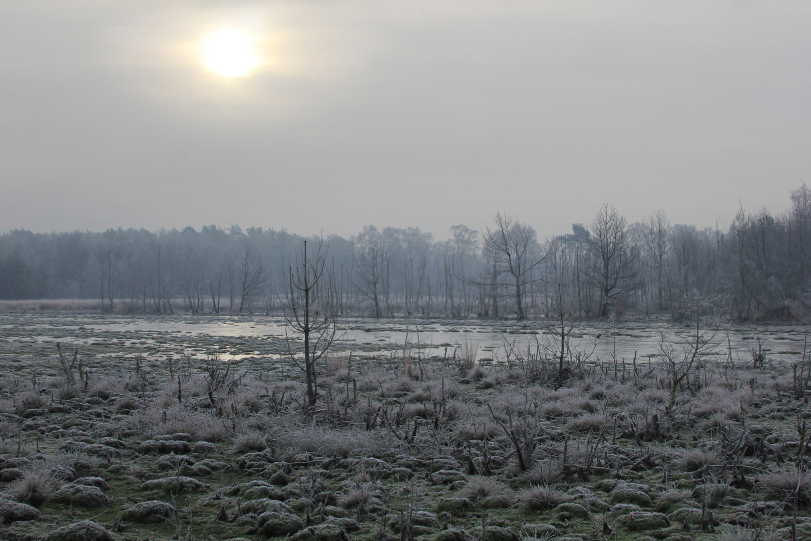 Frostiger Morgen