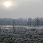 Frostiger Morgen