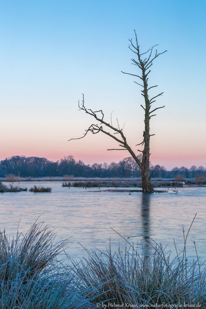 Frostiger Morgen