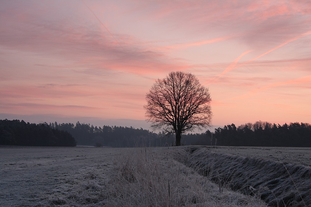 Frostiger Morgen