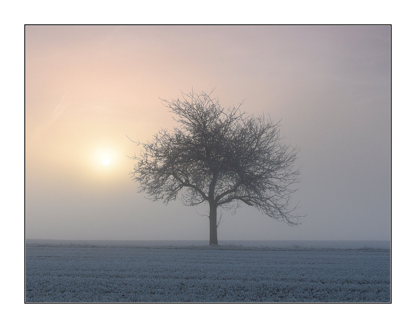 Frostiger Morgen