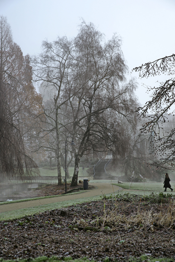 frostiger Morgen