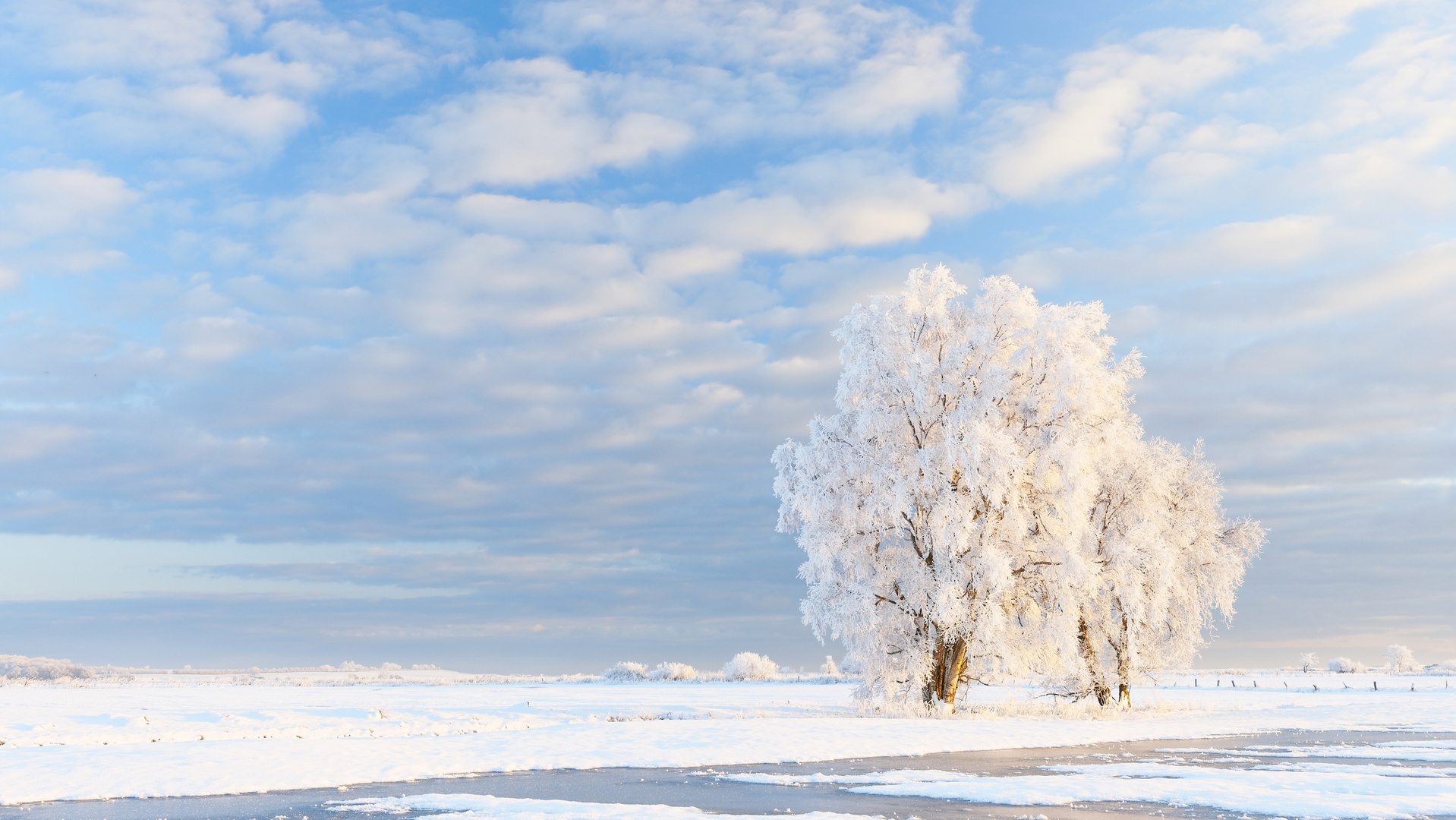 Frostiger Morgen