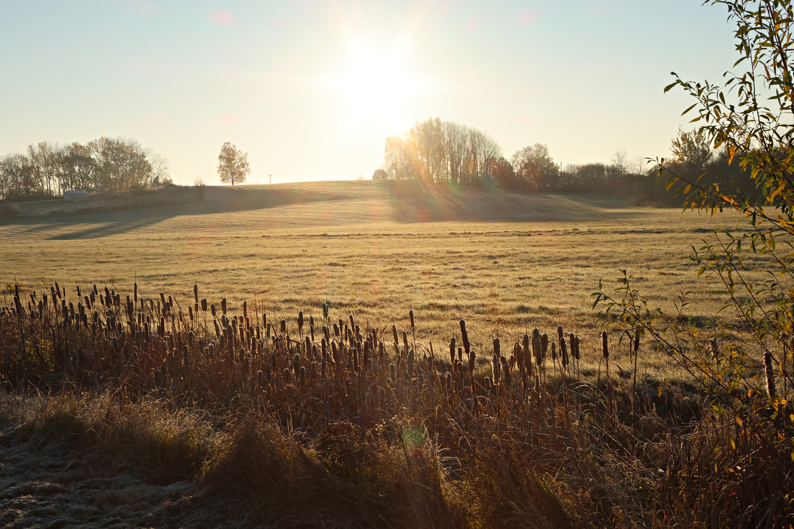 Frostiger Morgen Foto &amp; Bild | landschaft, jahreszeiten, winter Bilder ...