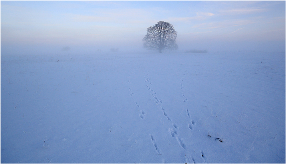 Frostiger Morgen