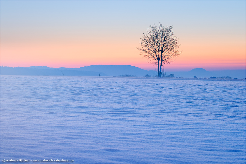 ~ Frostiger Morgen ~