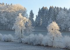 Frostiger Morgen