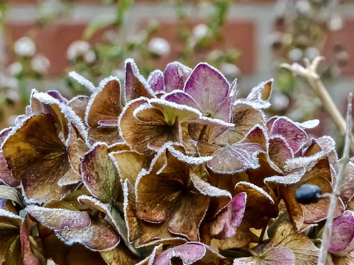 Frostiger Morgen