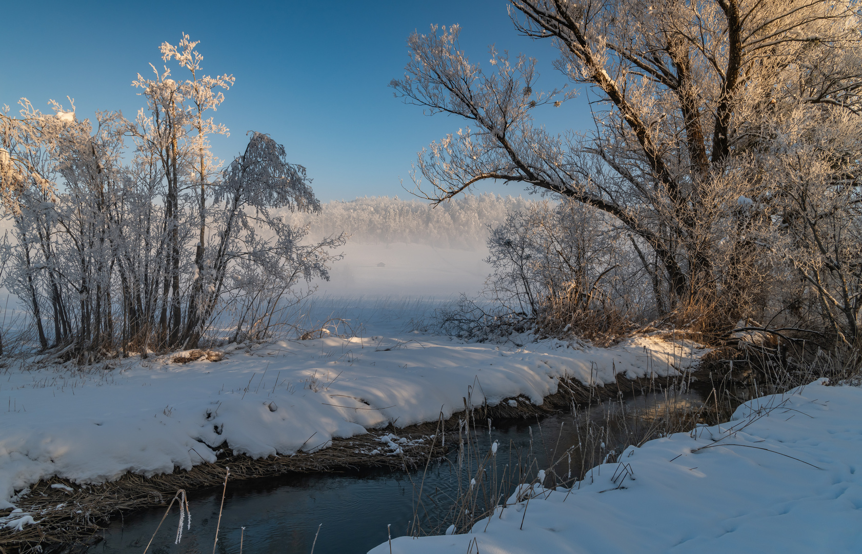 Frostiger Morgen