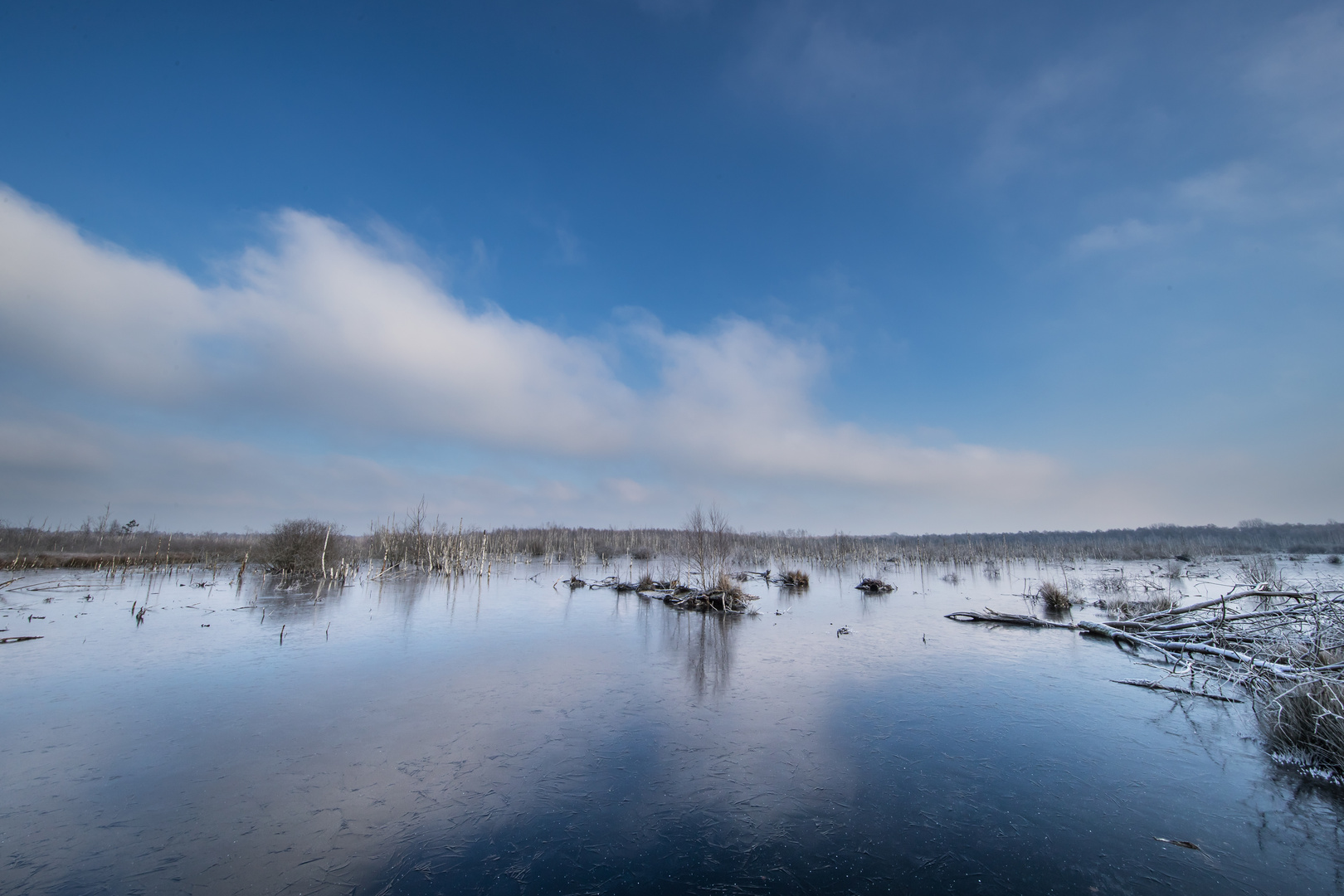 Frostiger Morgen gespiegelt