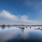 Frostiger Morgen gespiegelt