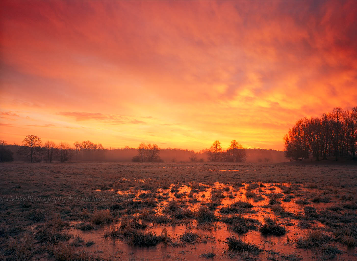 Frostiger Morgen, Havelwiesen Neuholland; Oberhavel