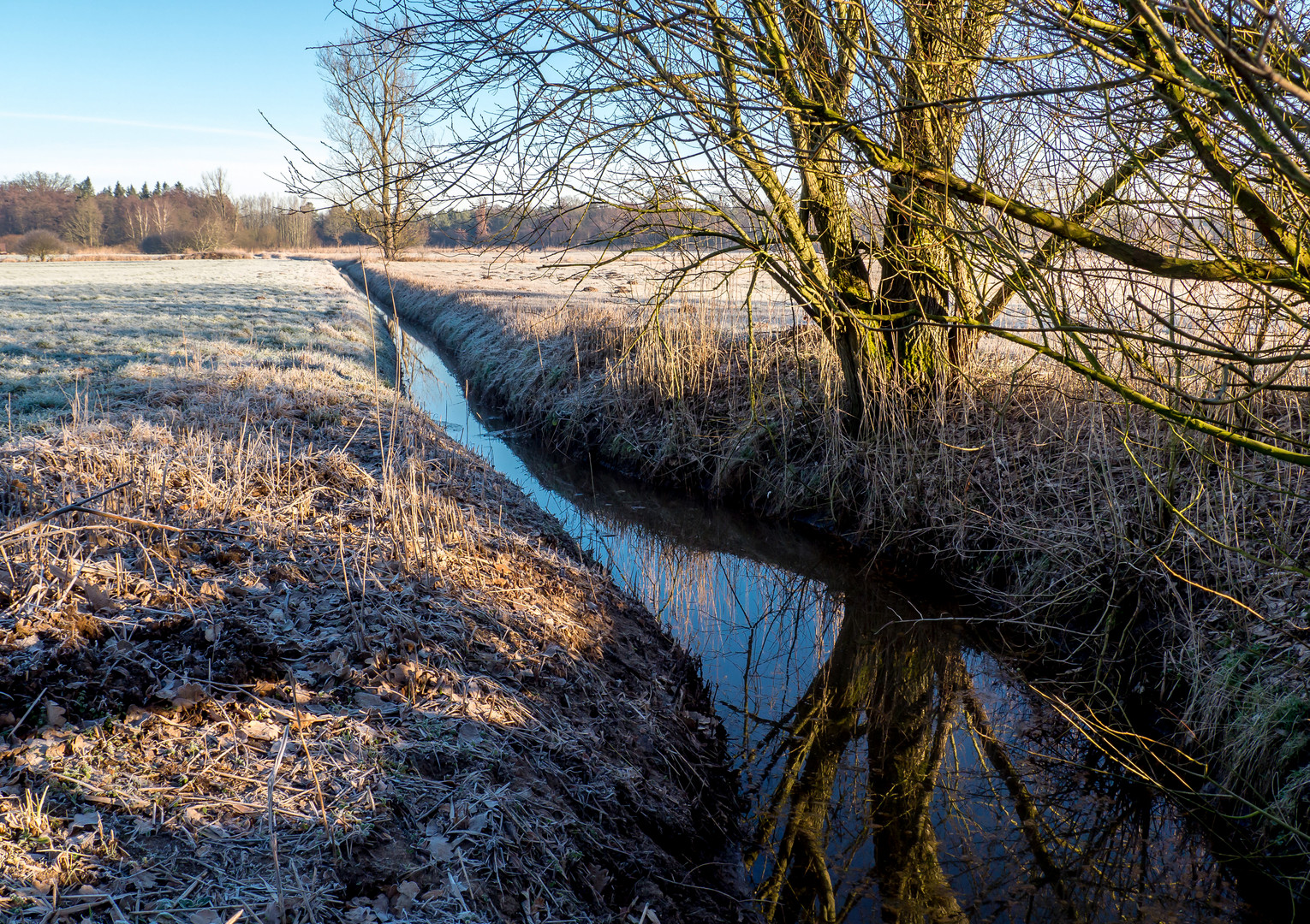 Frostiger Morgen im Februar