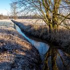 Frostiger Morgen im Februar