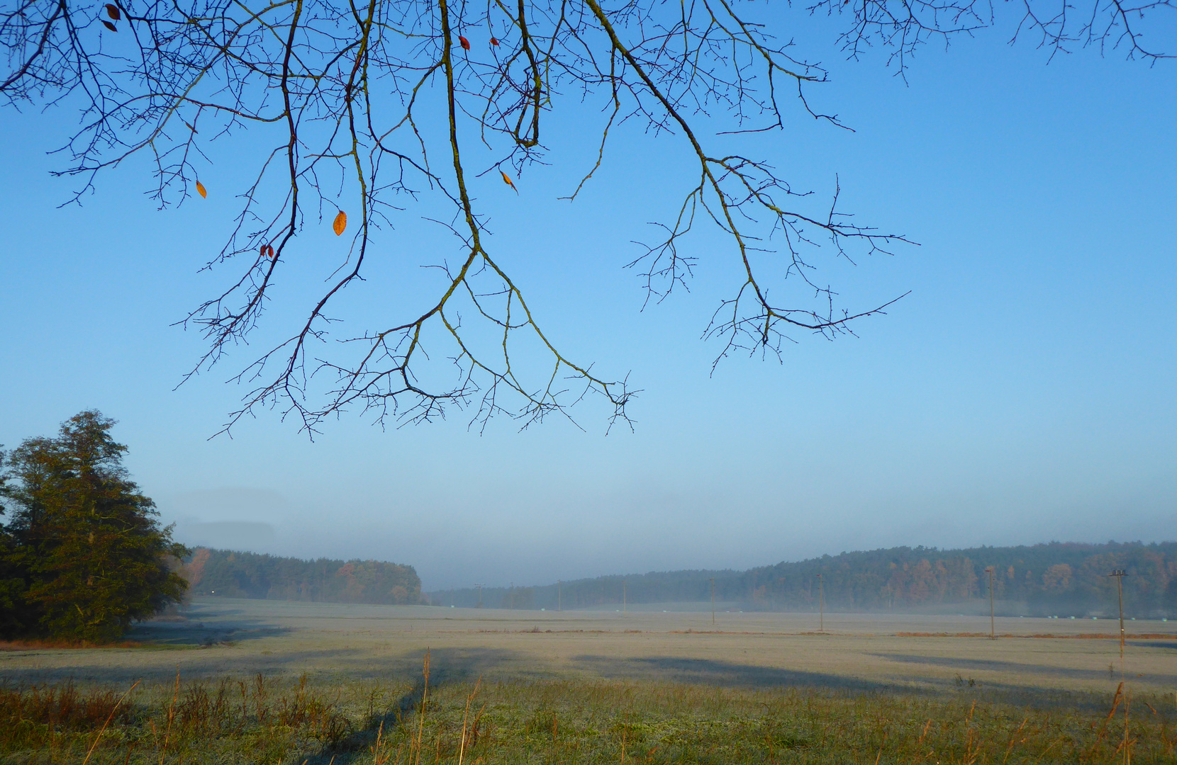 frostiger Morgen im Nebel