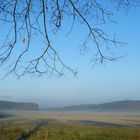 frostiger Morgen im Nebel