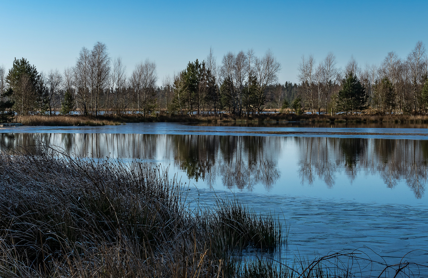 Frostiger Morgen im Tister Bauernmoor