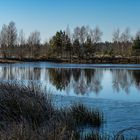 Frostiger Morgen im Tister Bauernmoor