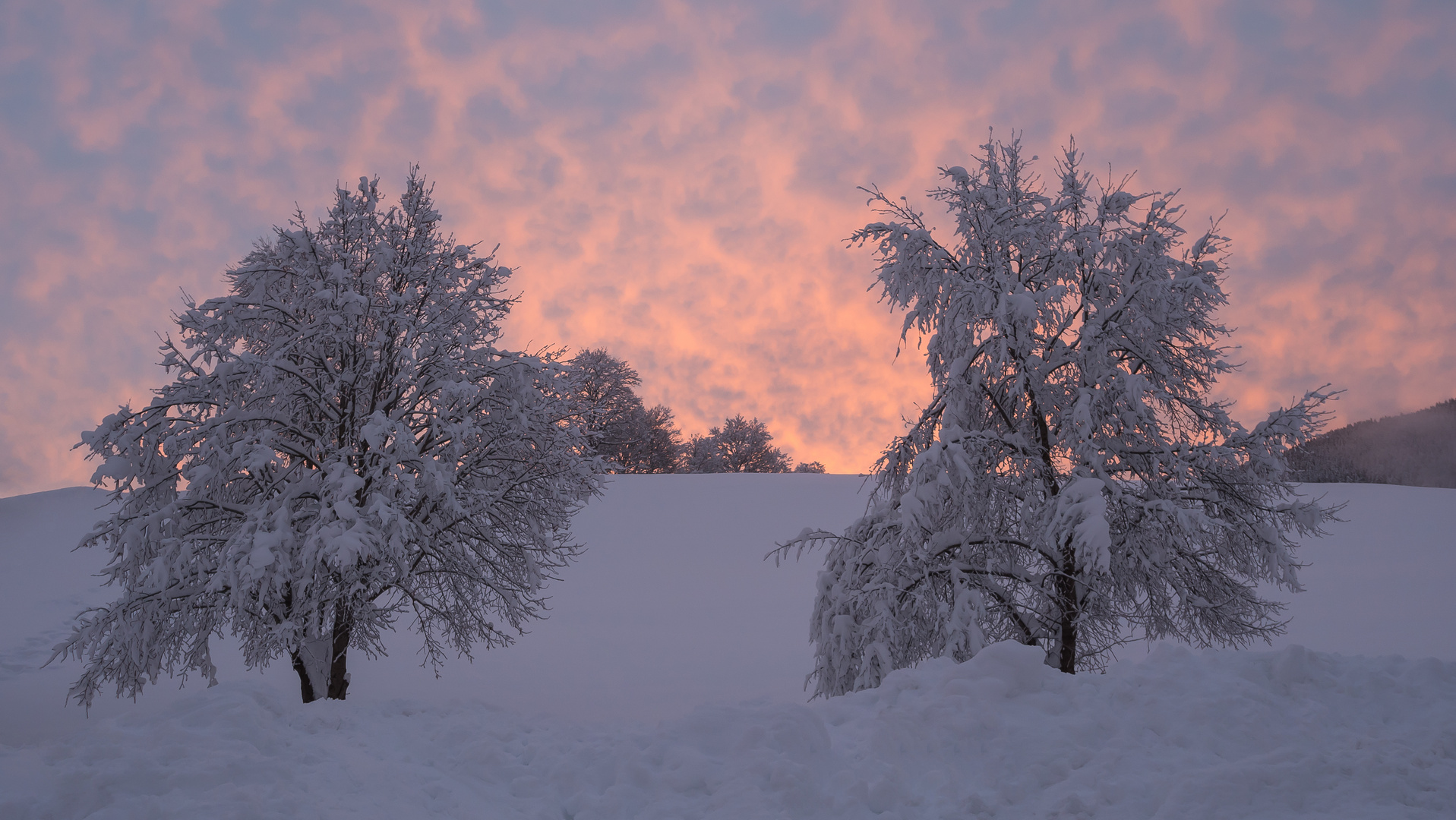 Frostiger Morgen nach dem Neuschnee