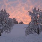 Frostiger Morgen nach dem Neuschnee