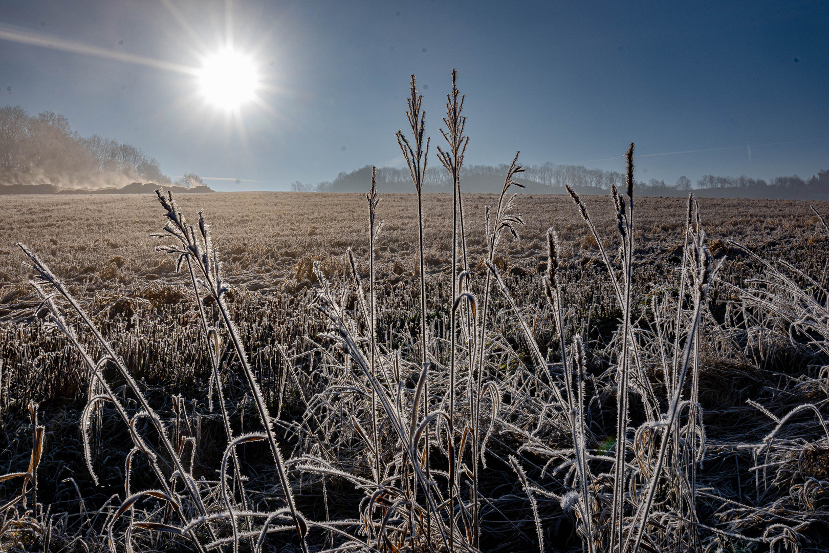 Frostiger Morgen zwischen Döbritz und Bodelwitz 