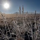 Frostiger Morgen zwischen Döbritz und Bodelwitz 