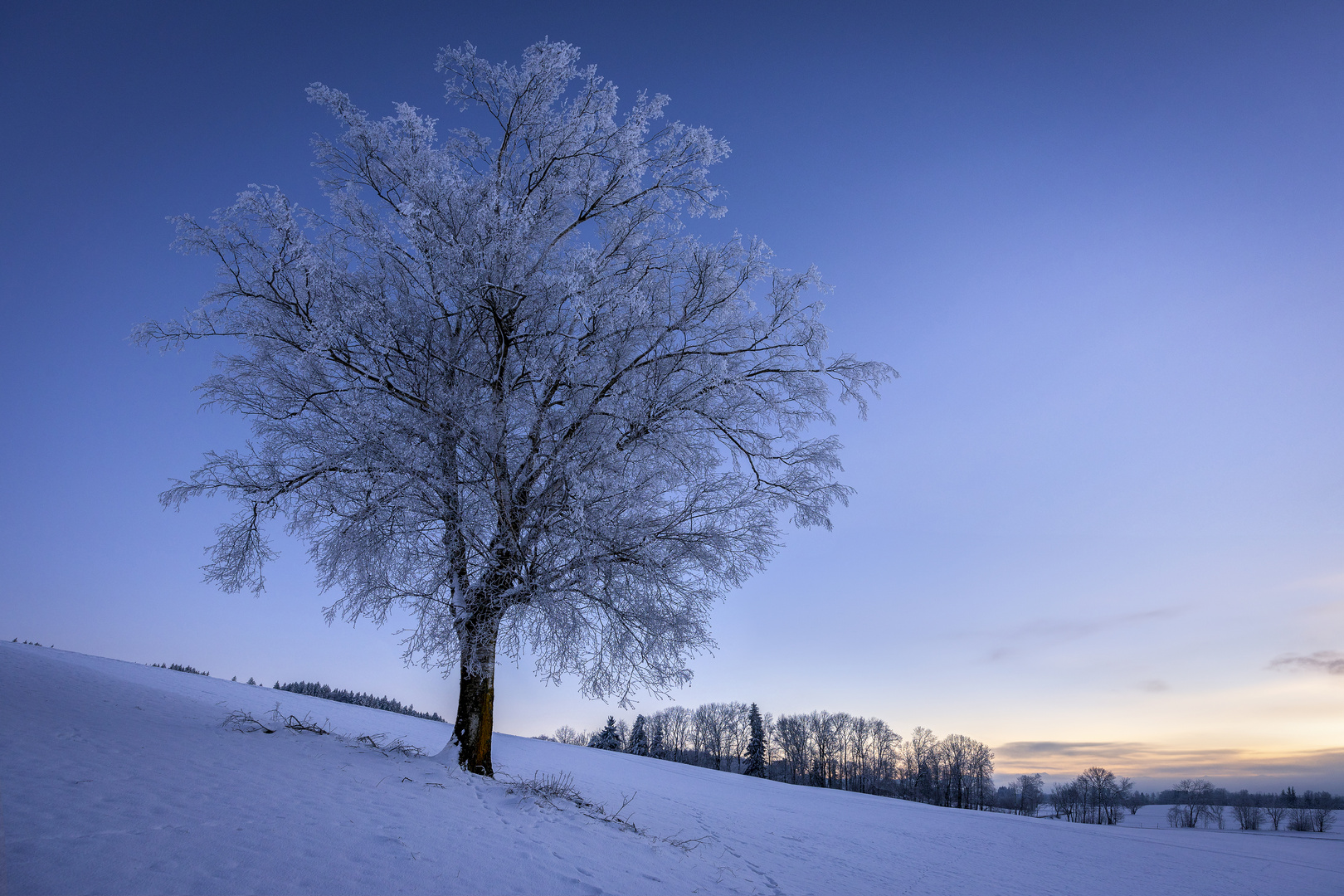 Frostiger Morgenbeginn...