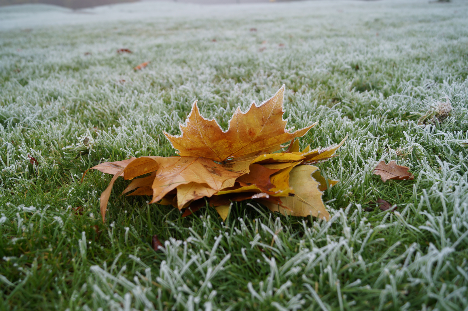 Frostiger Morgengruß