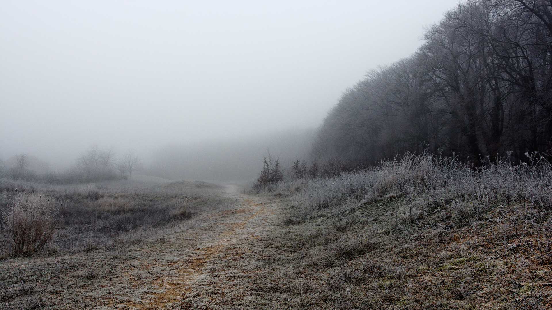 frostiger morgennebel