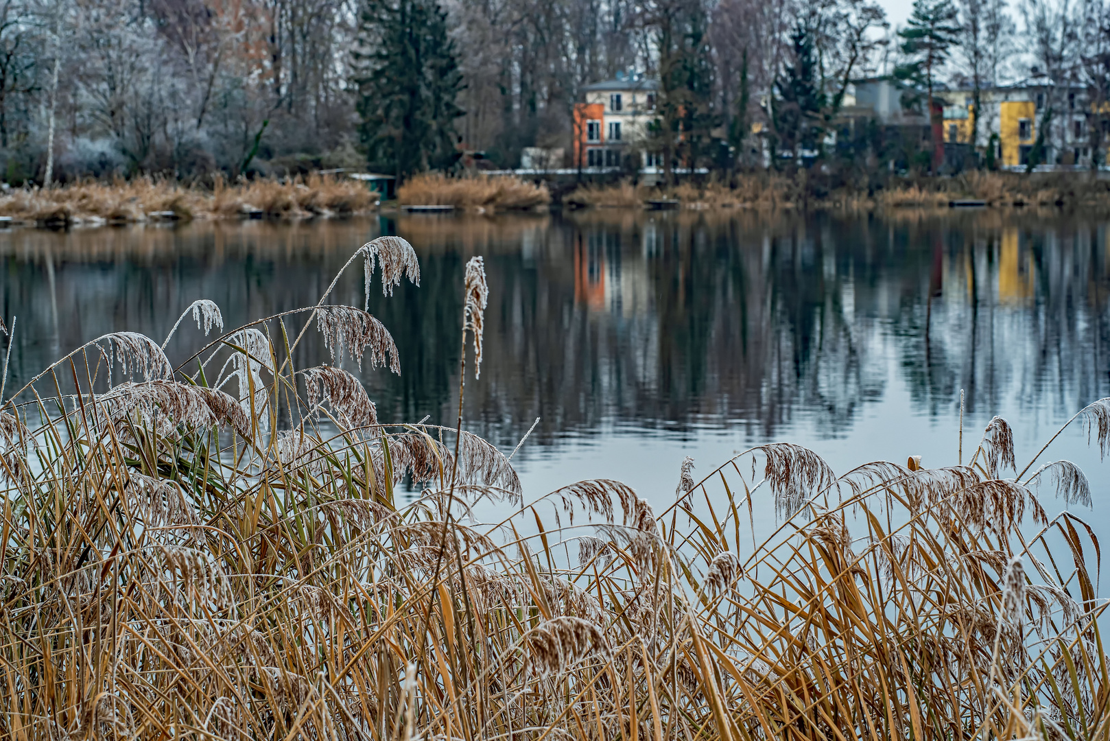 Frostiger Nachmittag Foto &amp; Bild | landschaft, jahreszeiten, winter ...