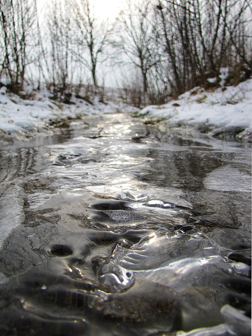 Frostiger Nachmittag