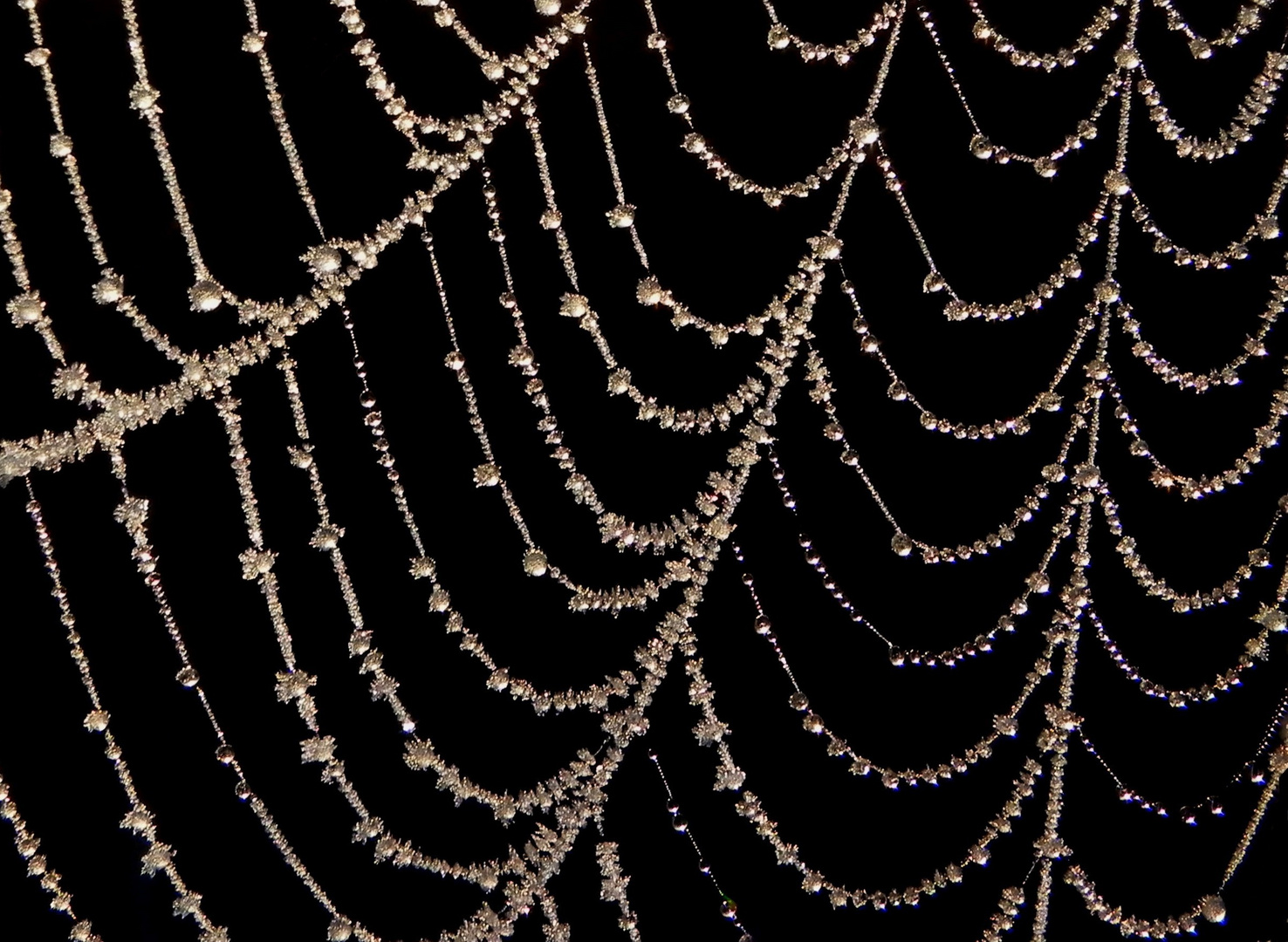 Frostiger Naturschmuck im Spinnennetz