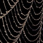 Frostiger Naturschmuck im Spinnennetz