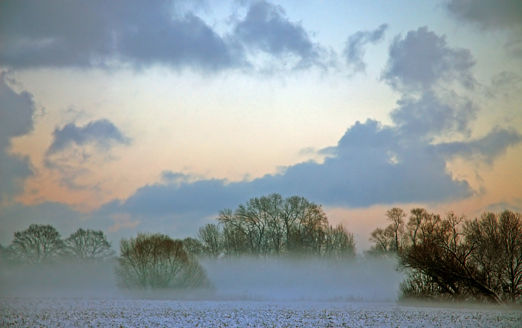 frostiger Nebel