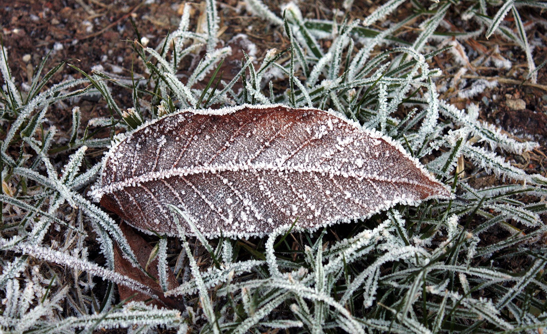 frostiger Nikolaustag