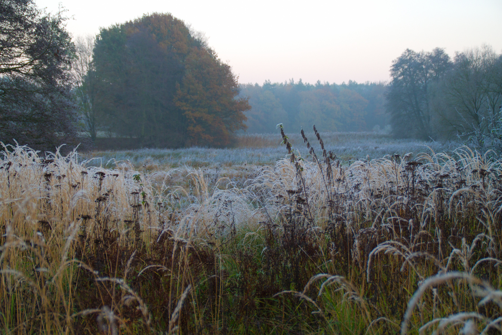 Frostiger Novemberabend im Land Brandenburg