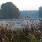 Frostiger Novemberabend im Land Brandenburg